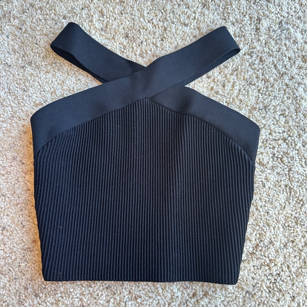 Aritzia BabatonTop